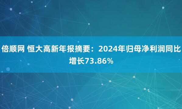 倍顺网 恒大高新年报摘要：2024年归母净利润同比增长73.86%
