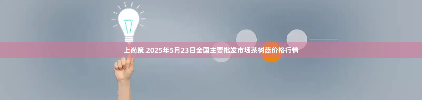 上尚策 2025年5月23日全国主要批发市场茶树菇价格行情